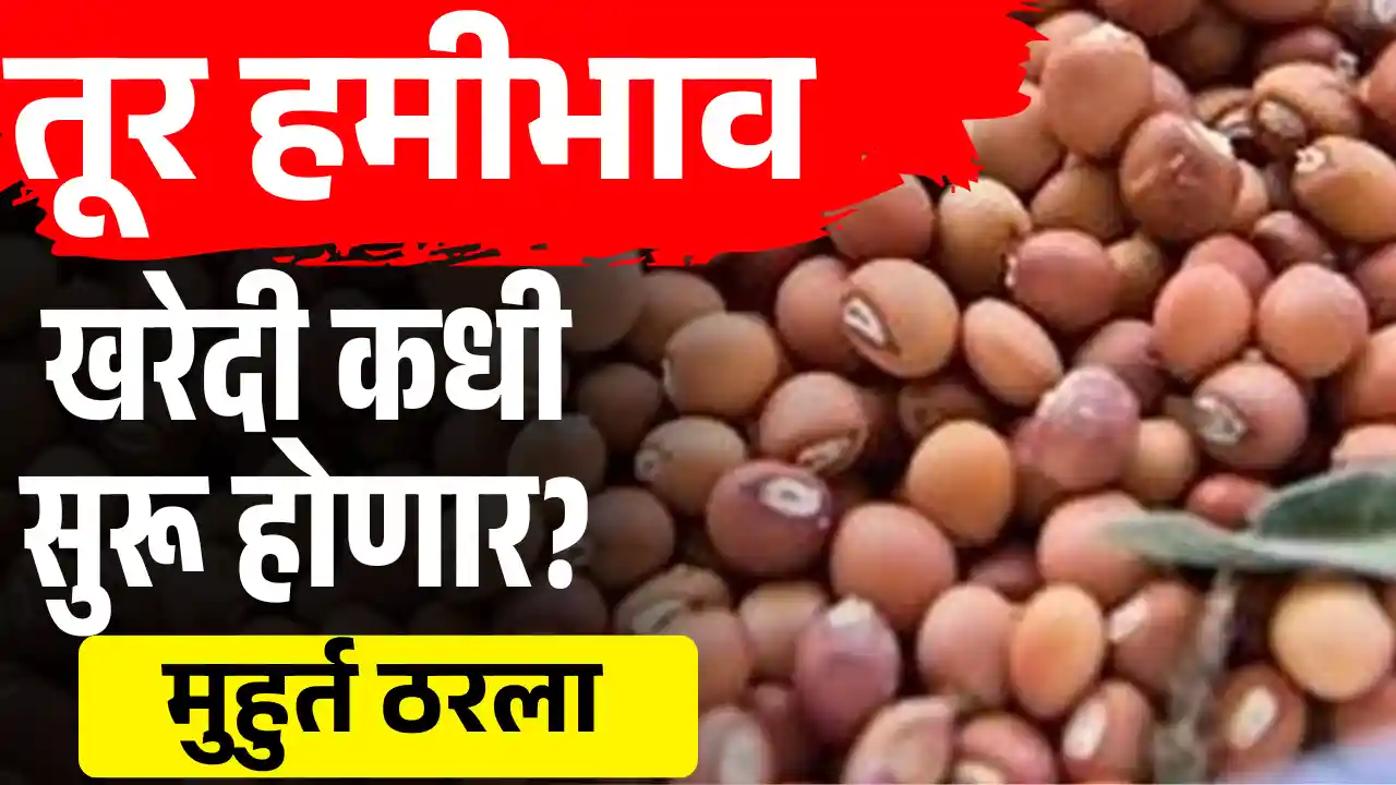 Tur MSP Registration